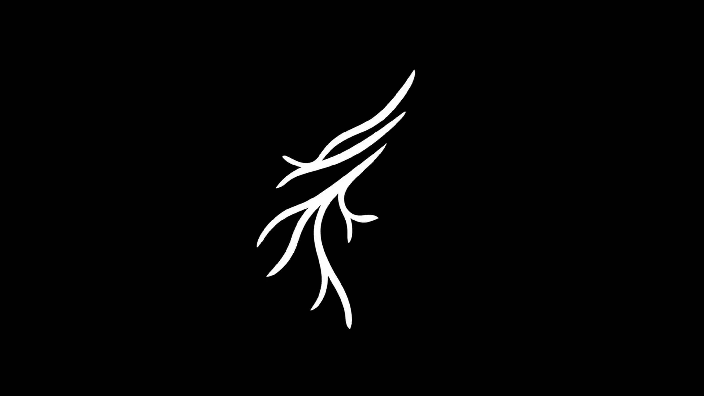 Triibe's standard branch motif, a minimal white line illustration of a branch on a dark background